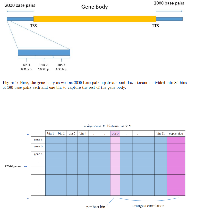 Devadas_bioRxiv_15.png