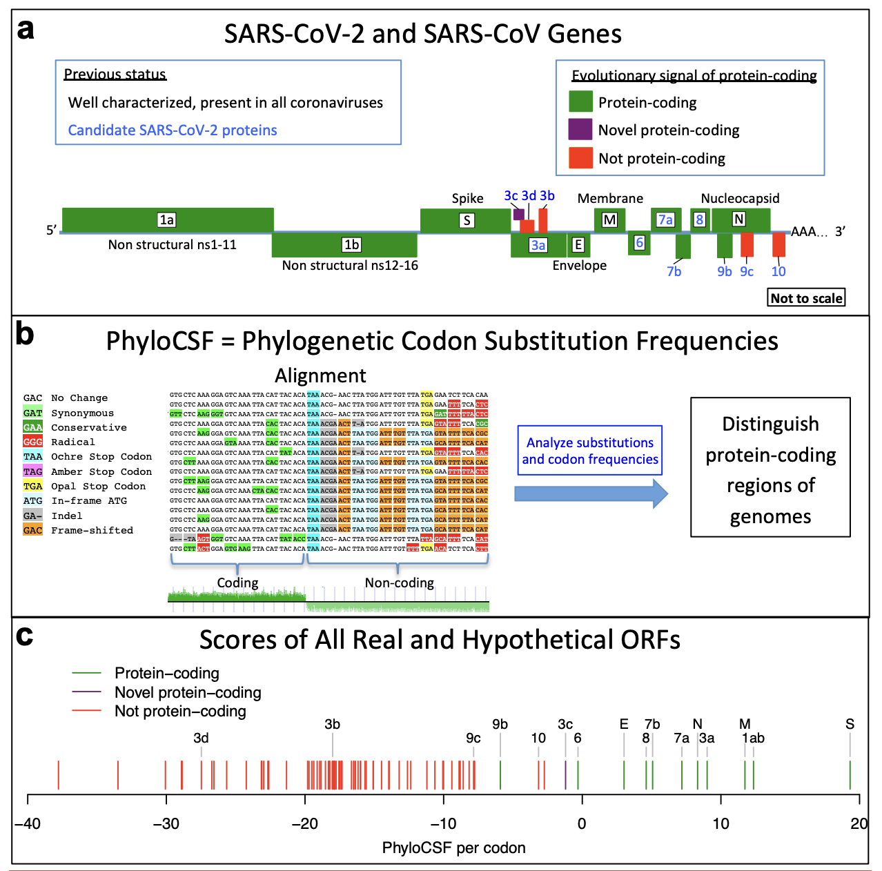 Jungreis_bioRxiv_20.png