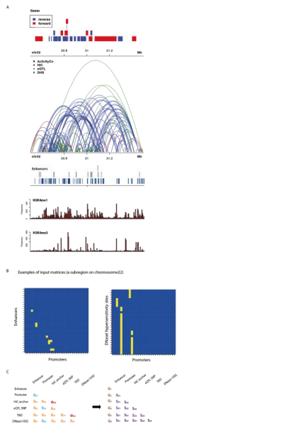 Liu_bioRxiv_17.png