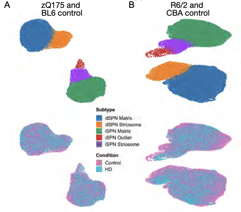 Matsushima_bioRxiv_22.png