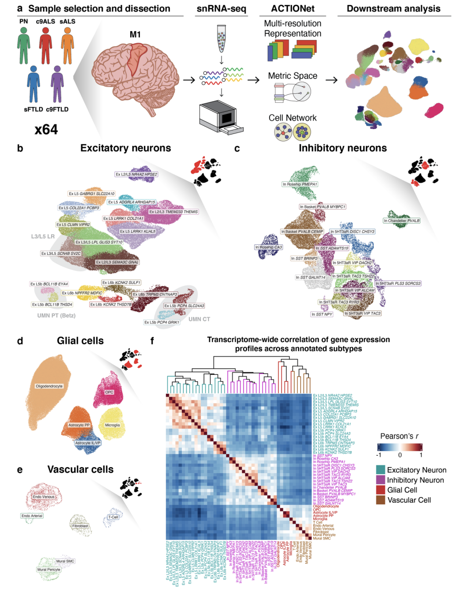 Pineda_bioRxiv_21.png