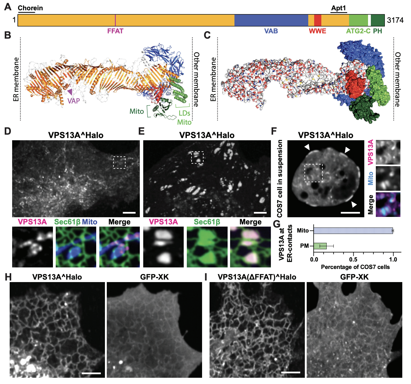 Samander_bioRxiv_22.png