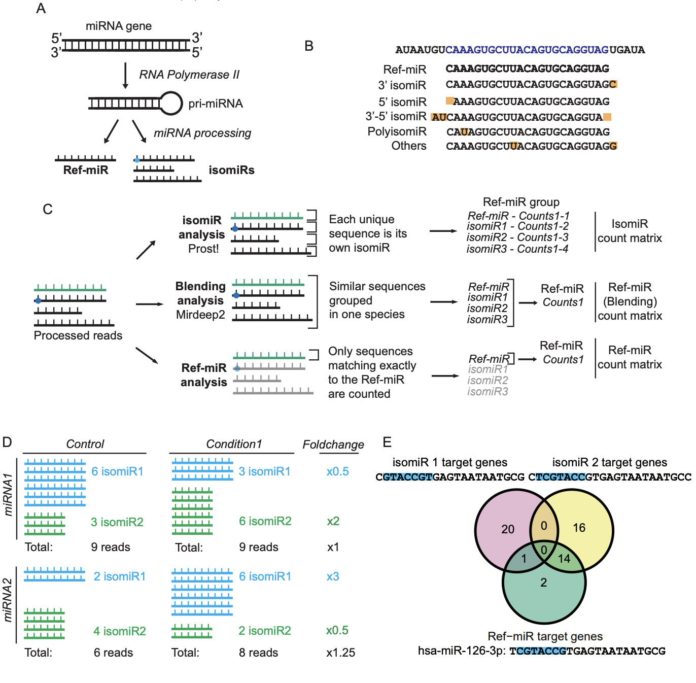 Schmauch_bioRxiv_21.png