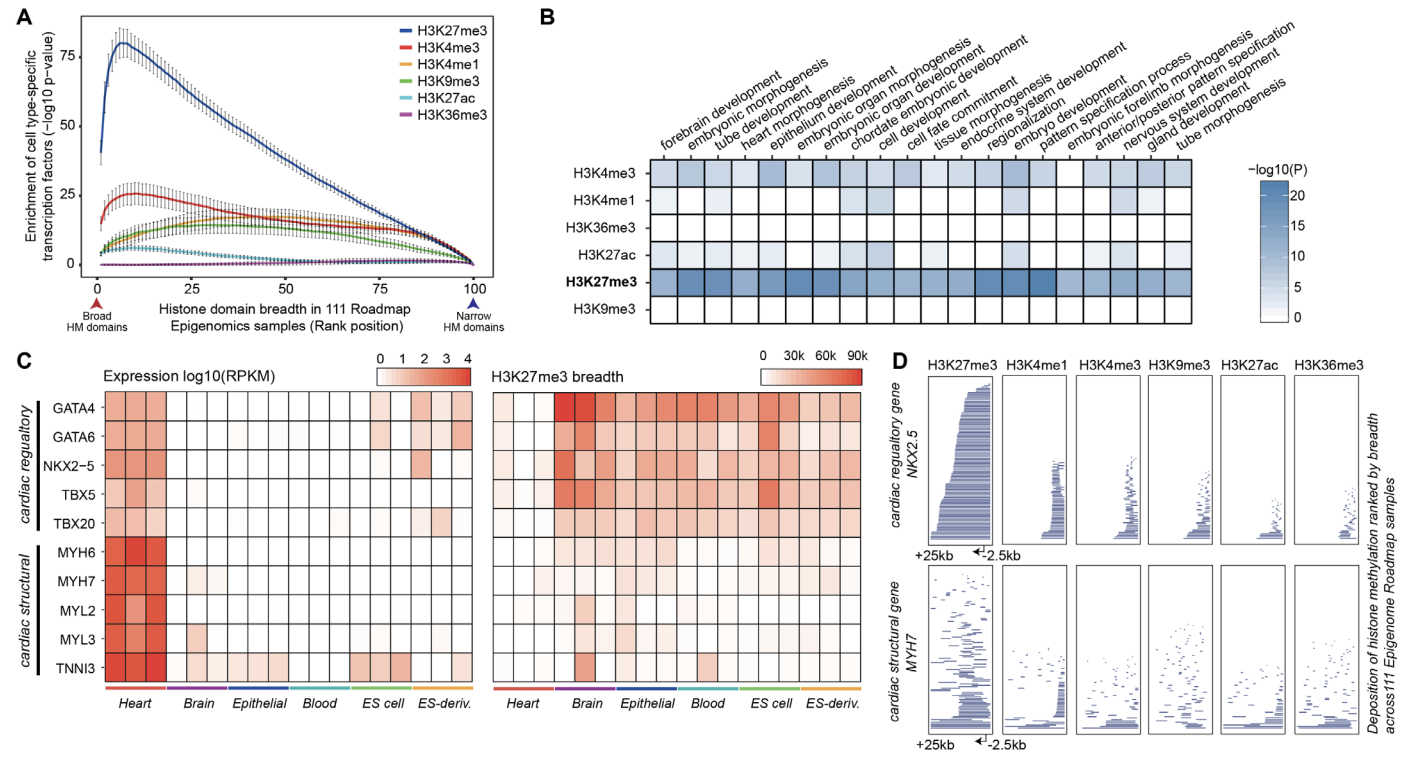 Shim_bioRxiv_20.png