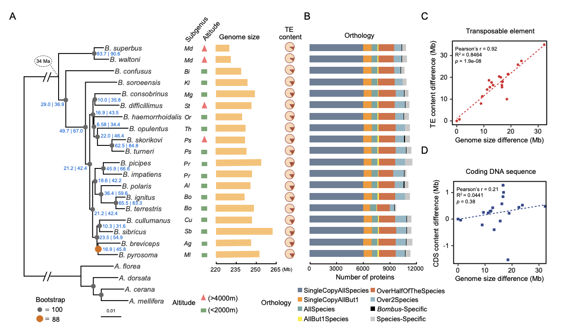 Sun_bioRxiv_20.png