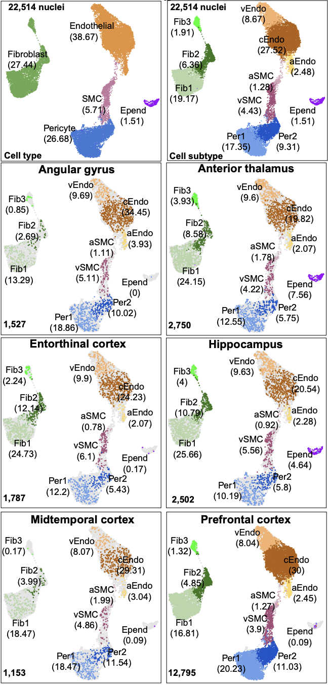 Sun_bioRxiv_22.png