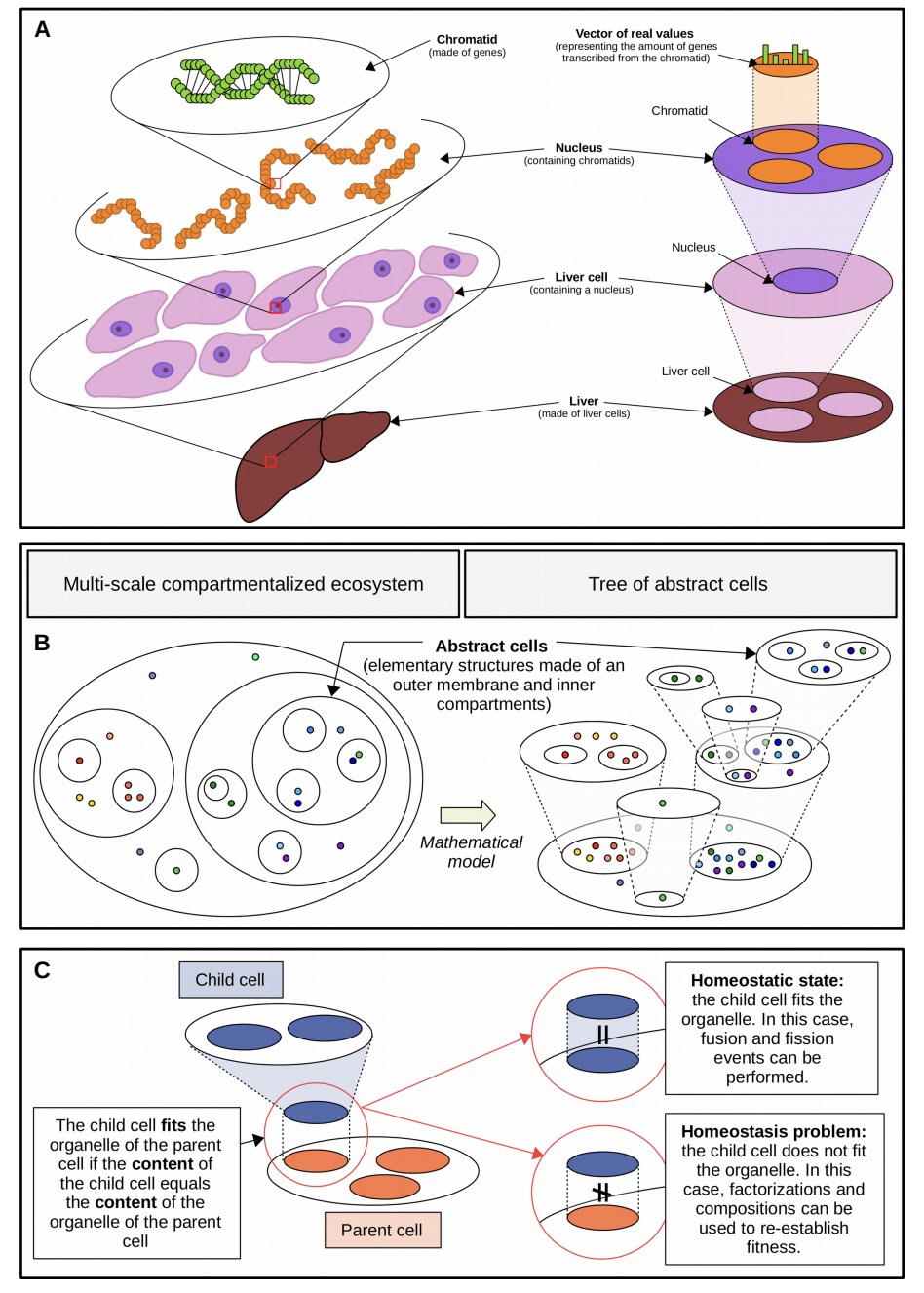 Tuyeras_bioRxiv_21.png