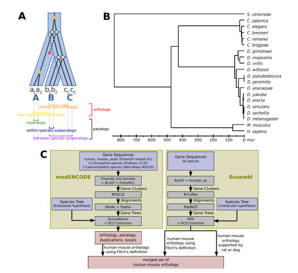 Wu_bioRxiv_14.png