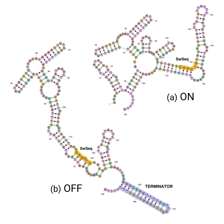 Barsacchi_Bioinformatics_16