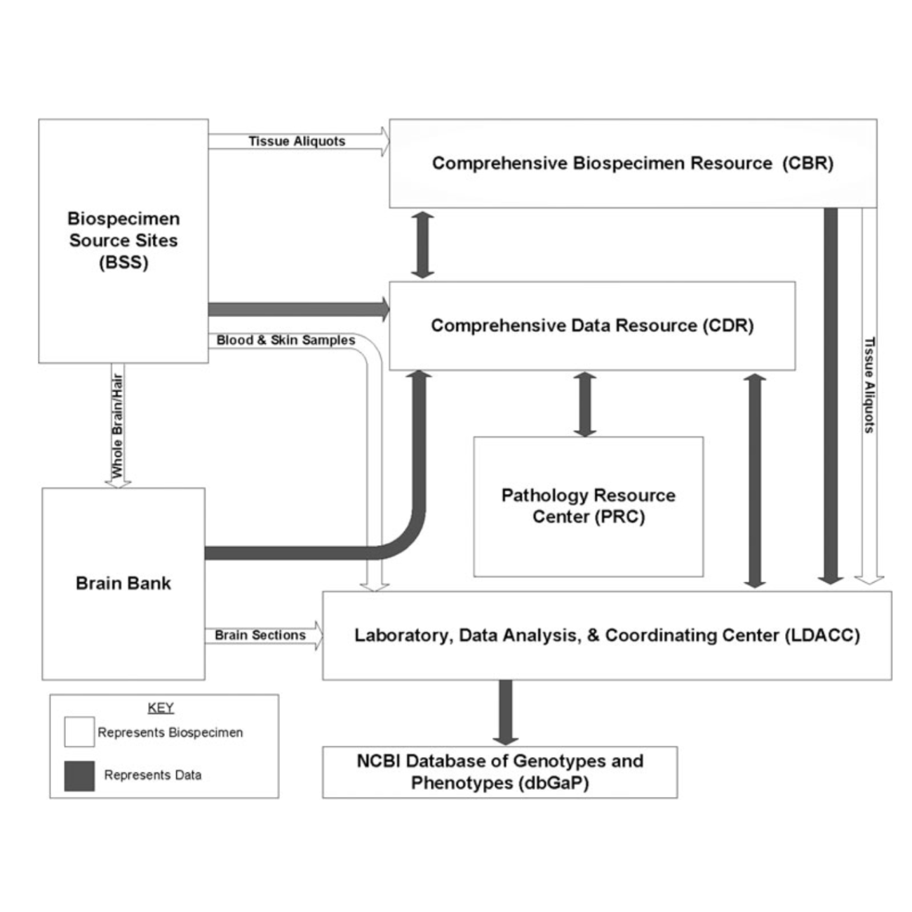 Carithers_BiopreservationAndBiobanking_15