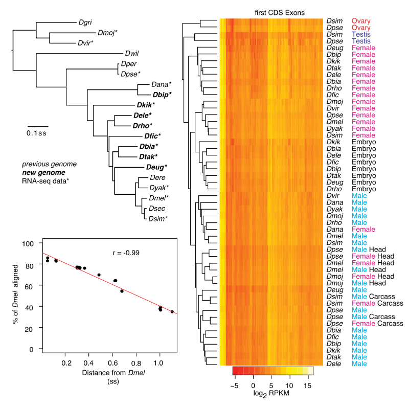 Chen_GenomeResearch_14.png