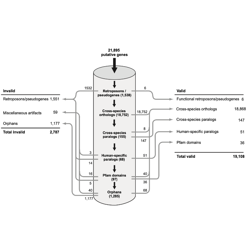 Clamp_PNAS_07