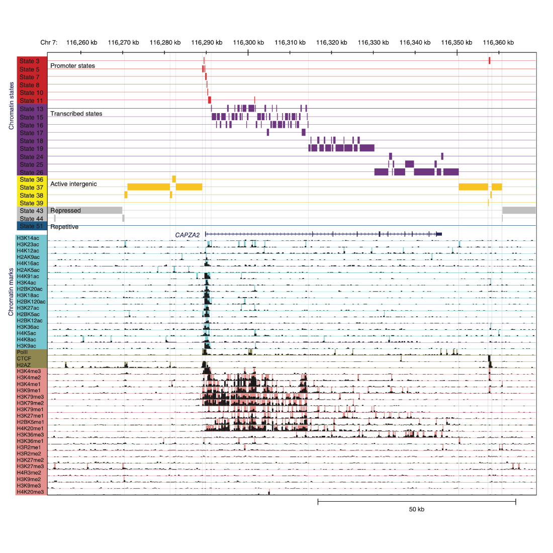 Ernst_NatureBiotechnology_10.png