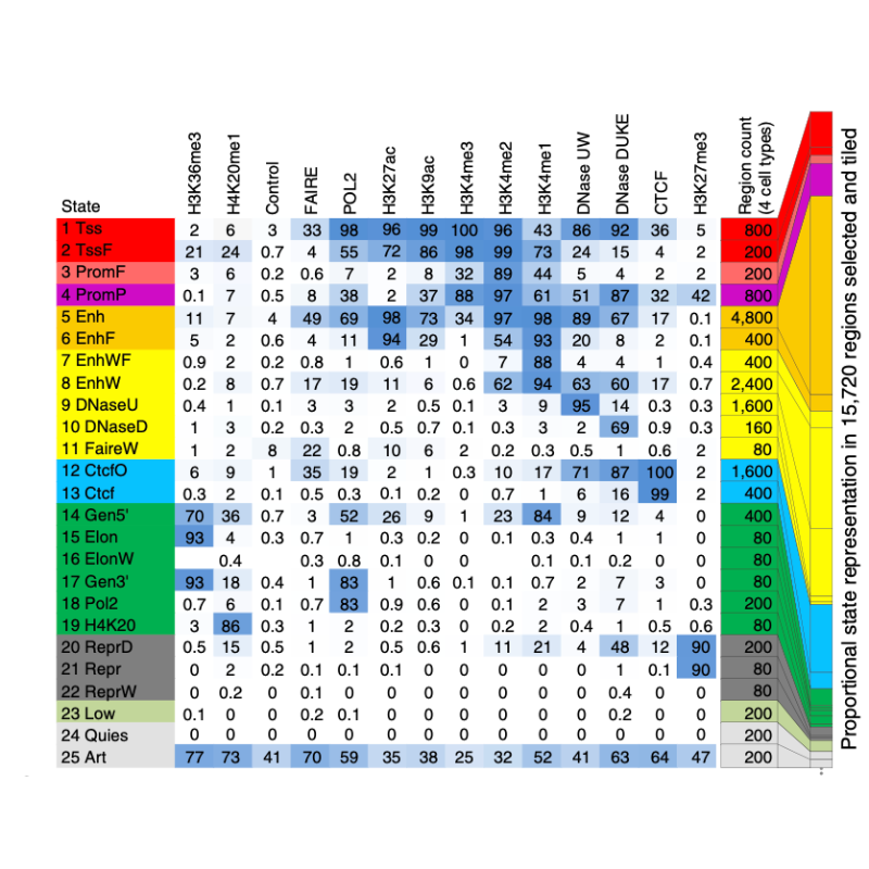 Ernst_NatureBiotechnology_16