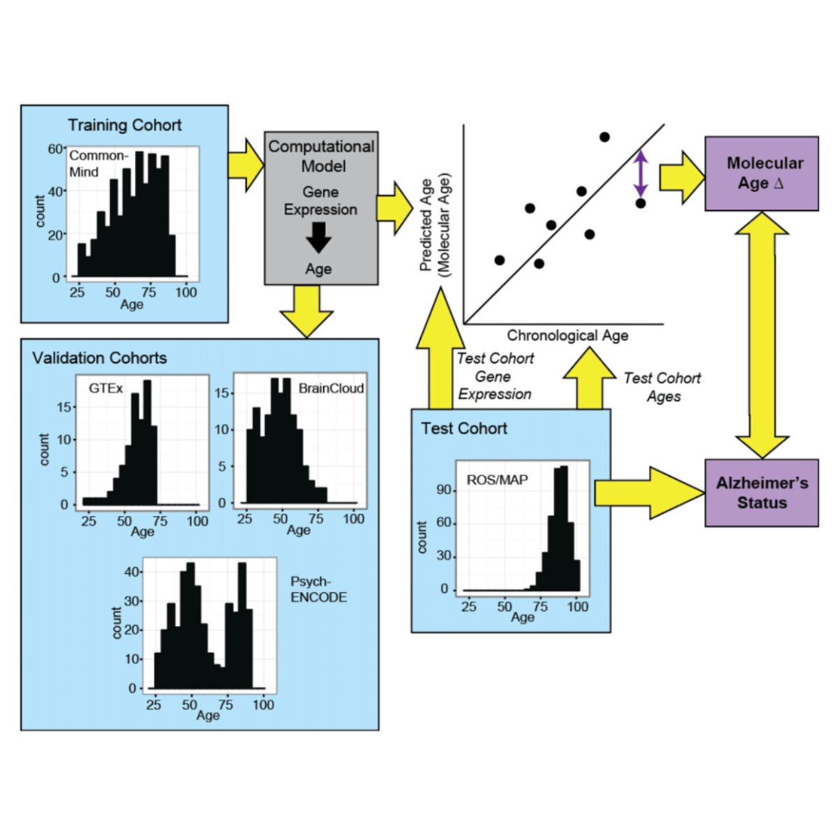 Glorioso_LifeScienceAlliance_19.png