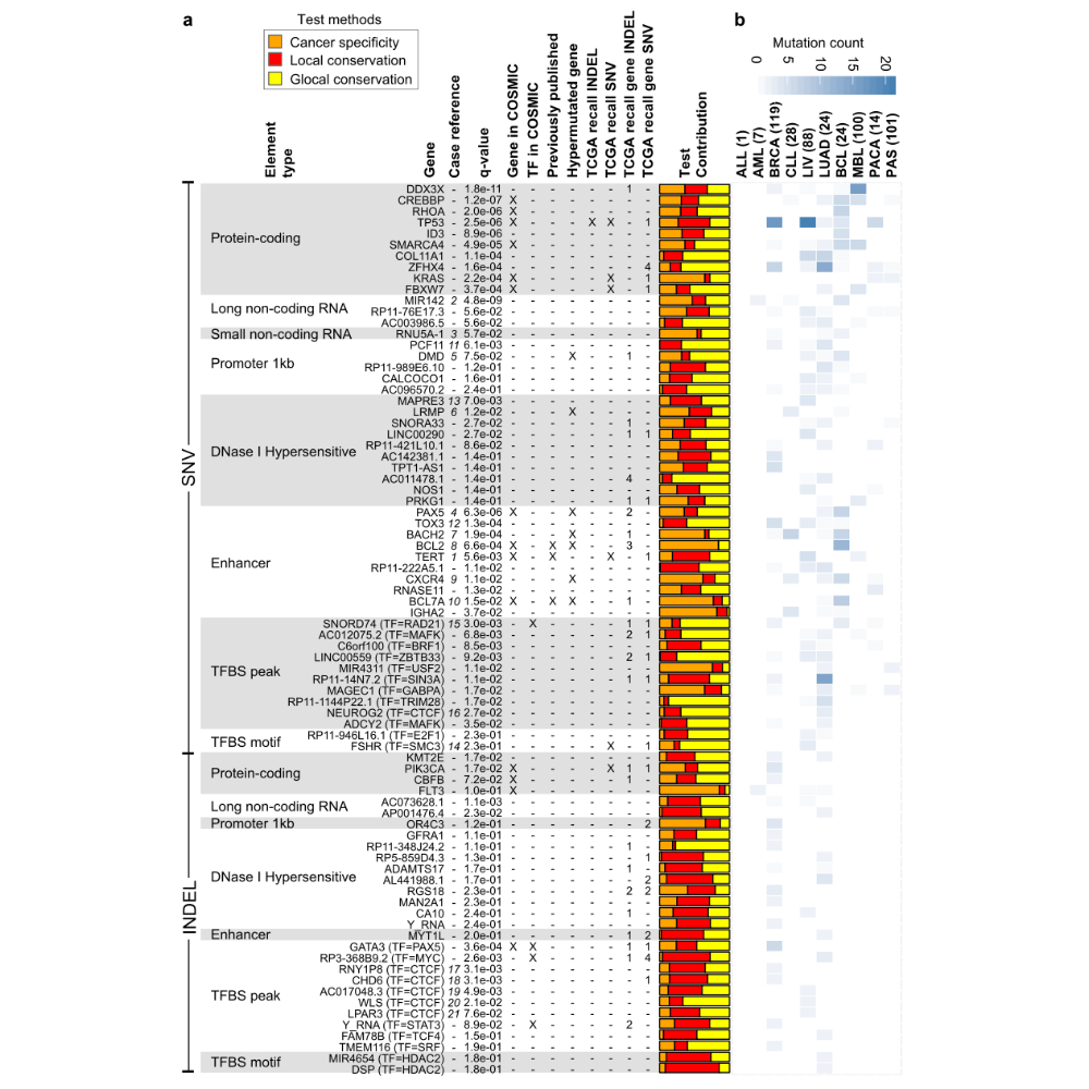 Hornshoj_NpjGenomicMedicine_18.png