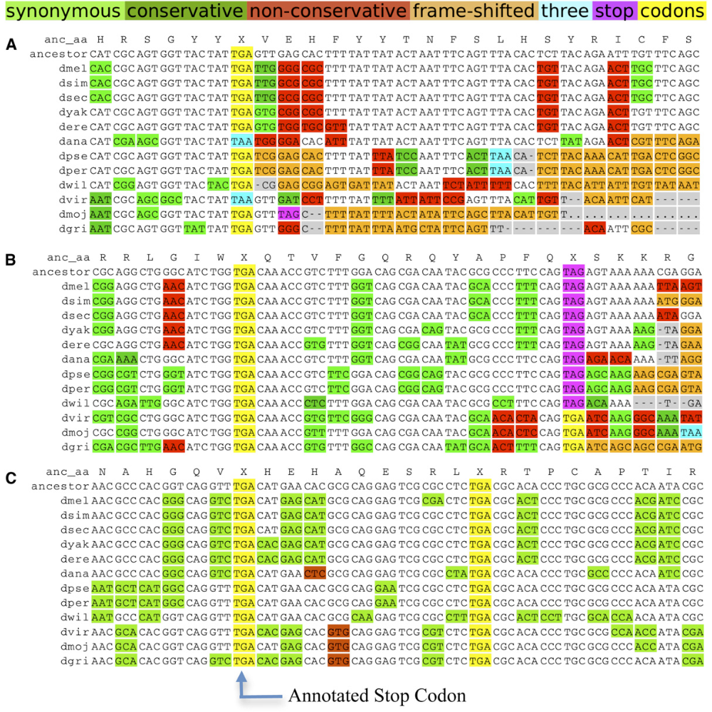 Jungreis_GenomeResearch_11