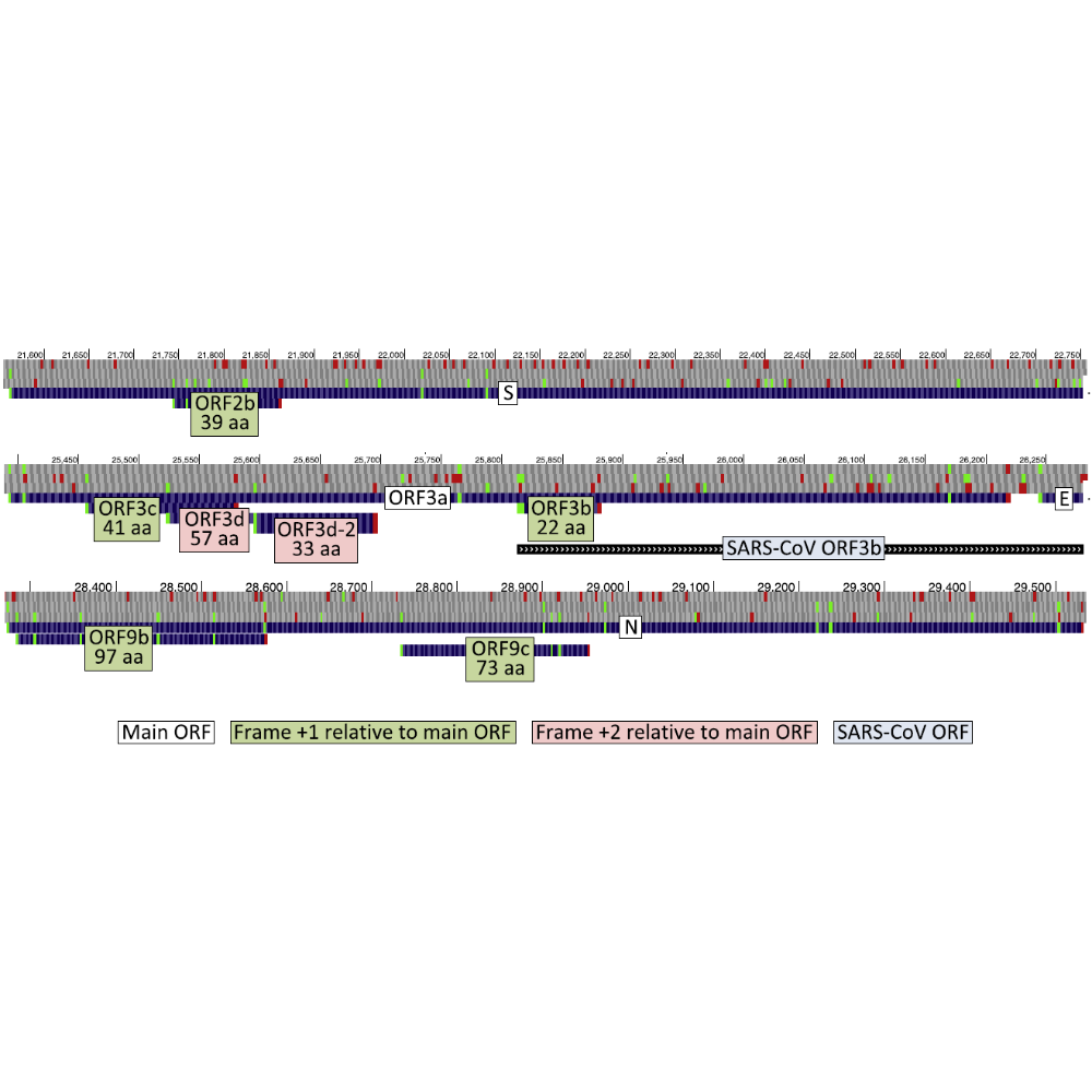 Jungreis_Virology_21