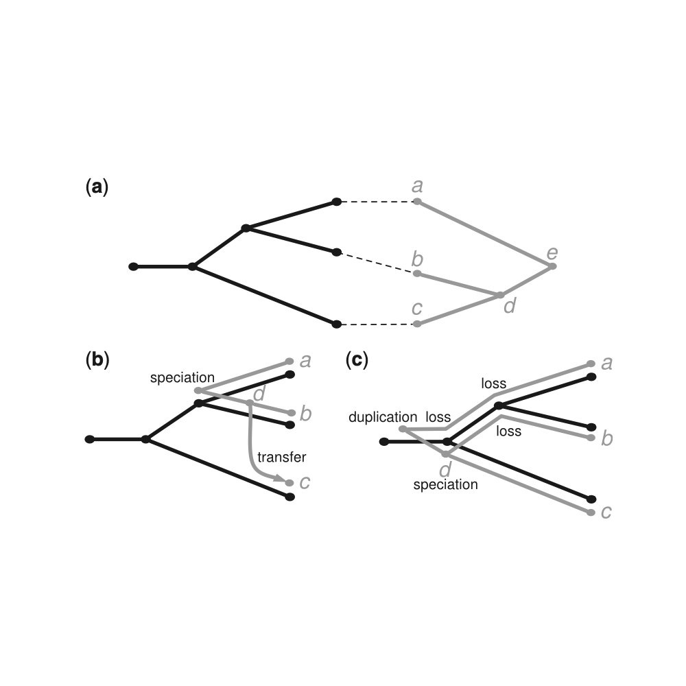 Libeskind-Hadas_Bioinformatics_14.png