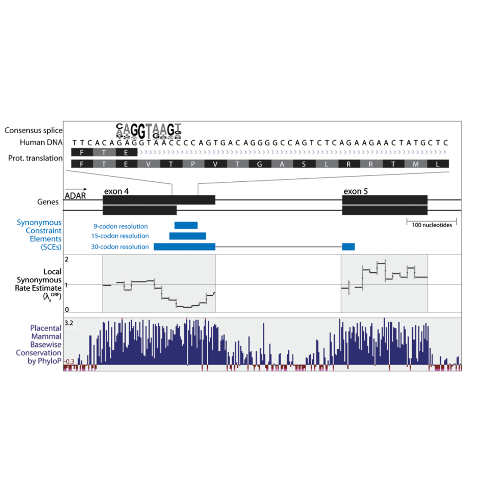 Lin_GenomeResearch_11