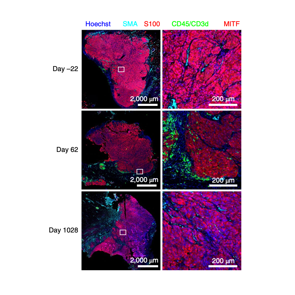 Liu_NatureMedicine_21