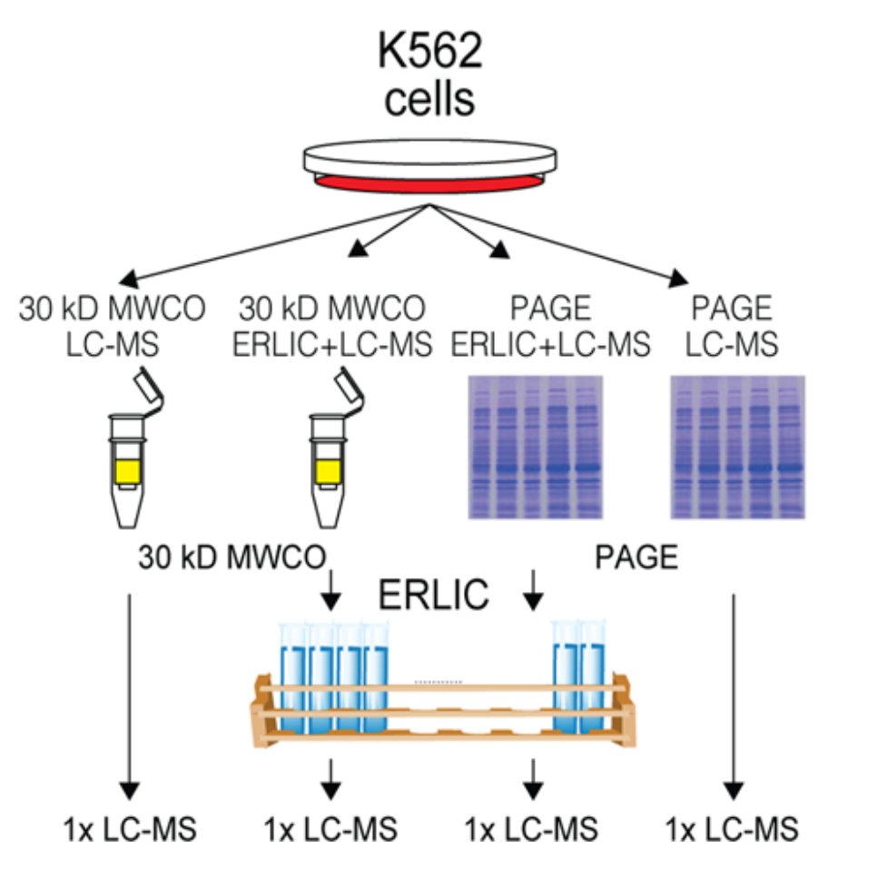 Ma_ProteomeResearch_14