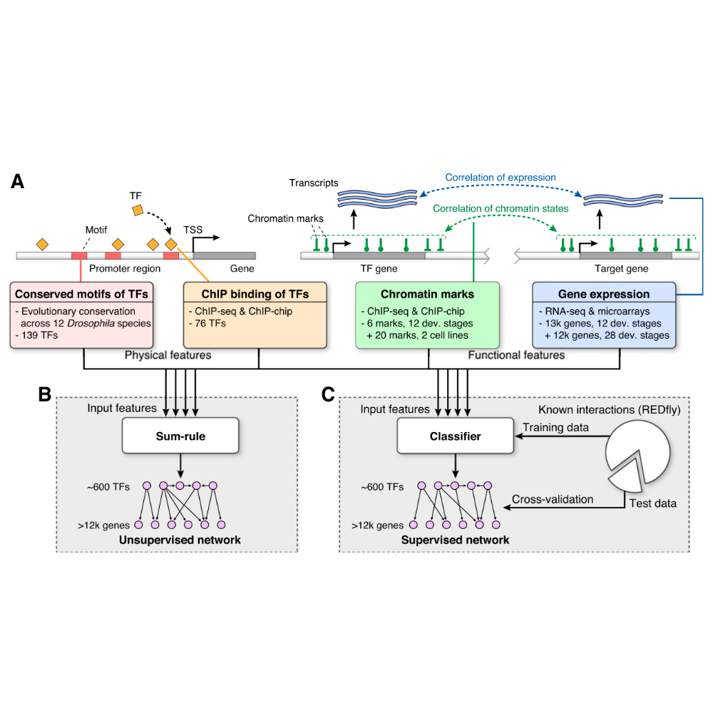 Marbach_GenomeResearch_12.png