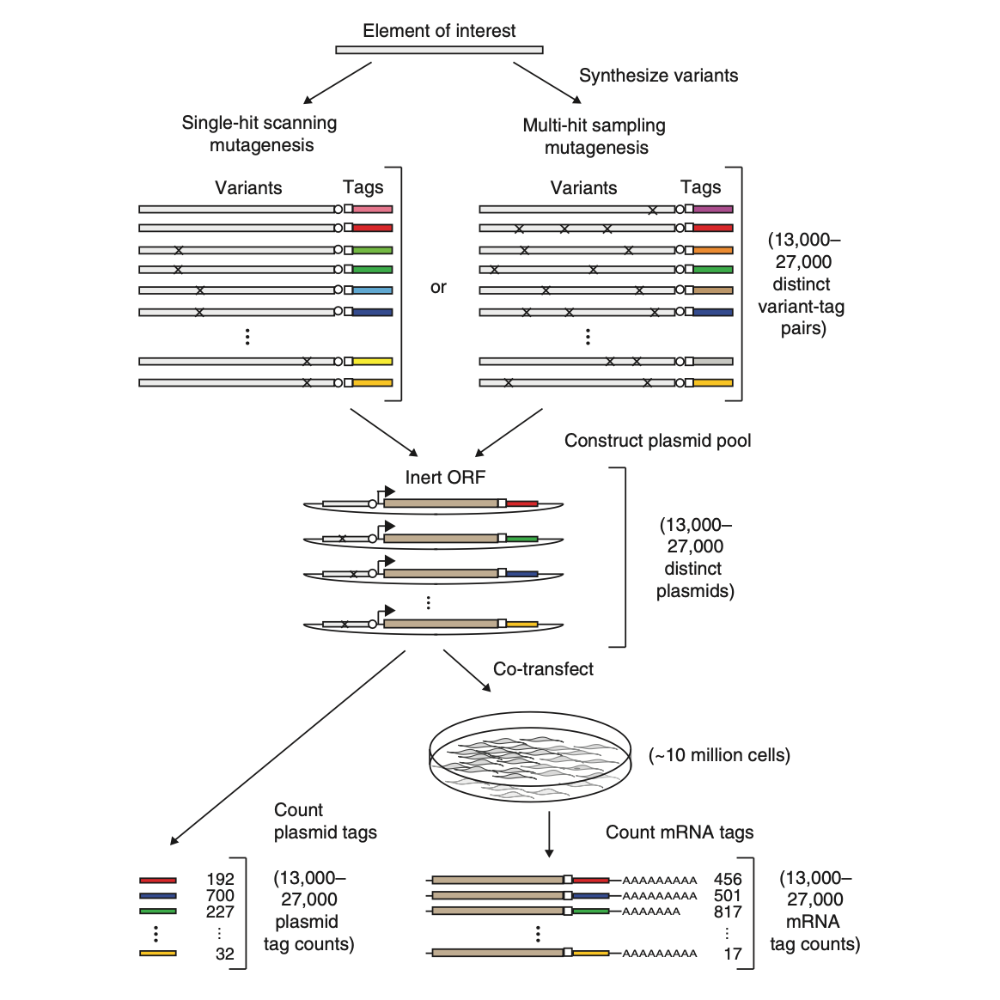 Melnikov_NatureBiotechnology_12