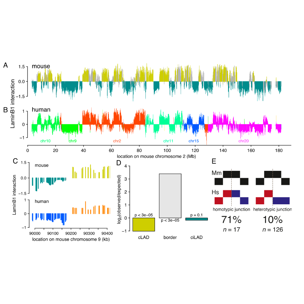 Meuleman_GenomeResearch_13.png