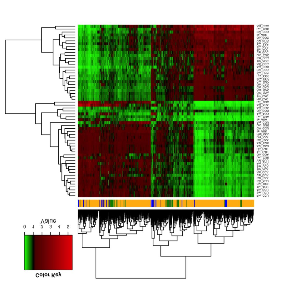 Novoa_MolecularBiologyAndEvolution_19