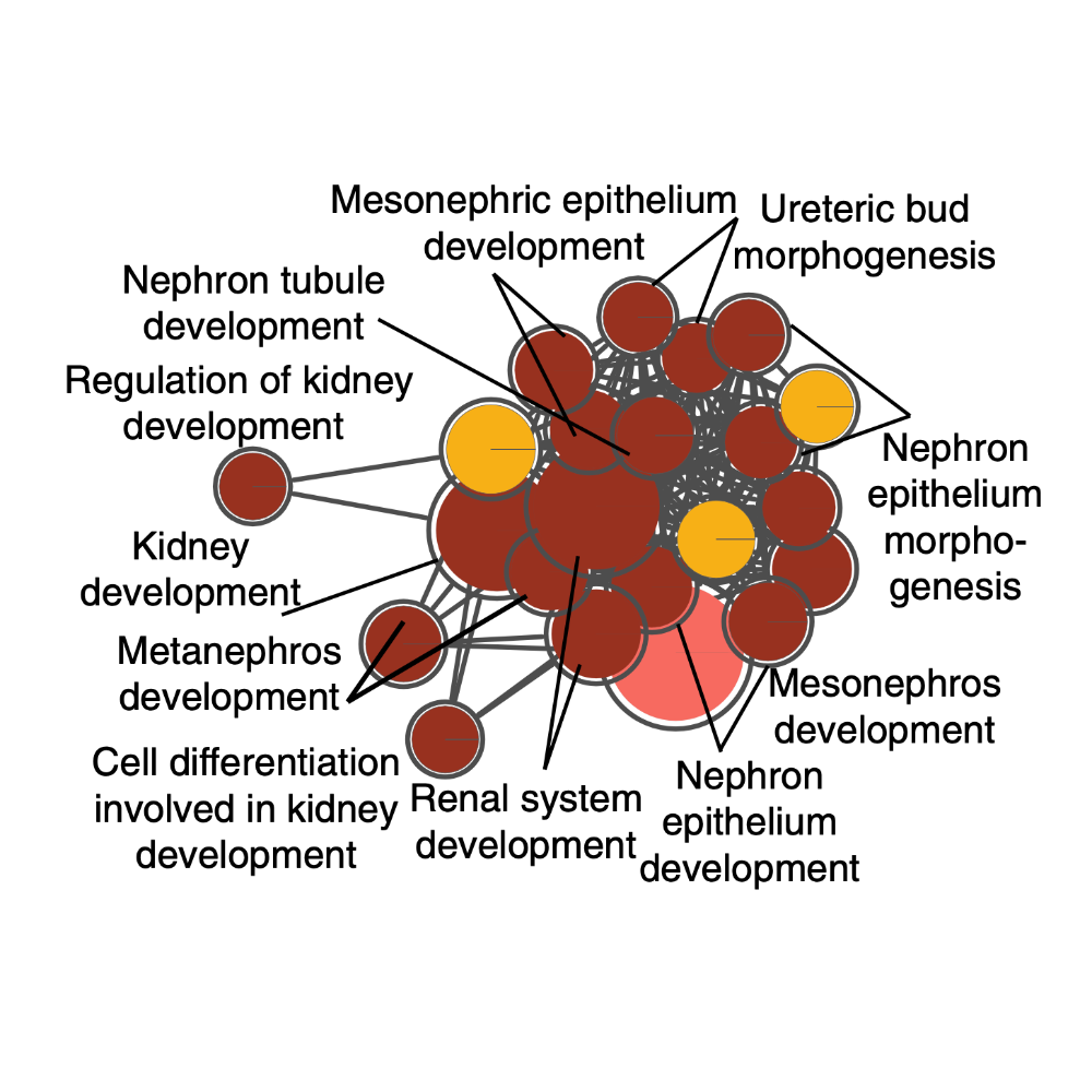 Park_GenomeBiology_21