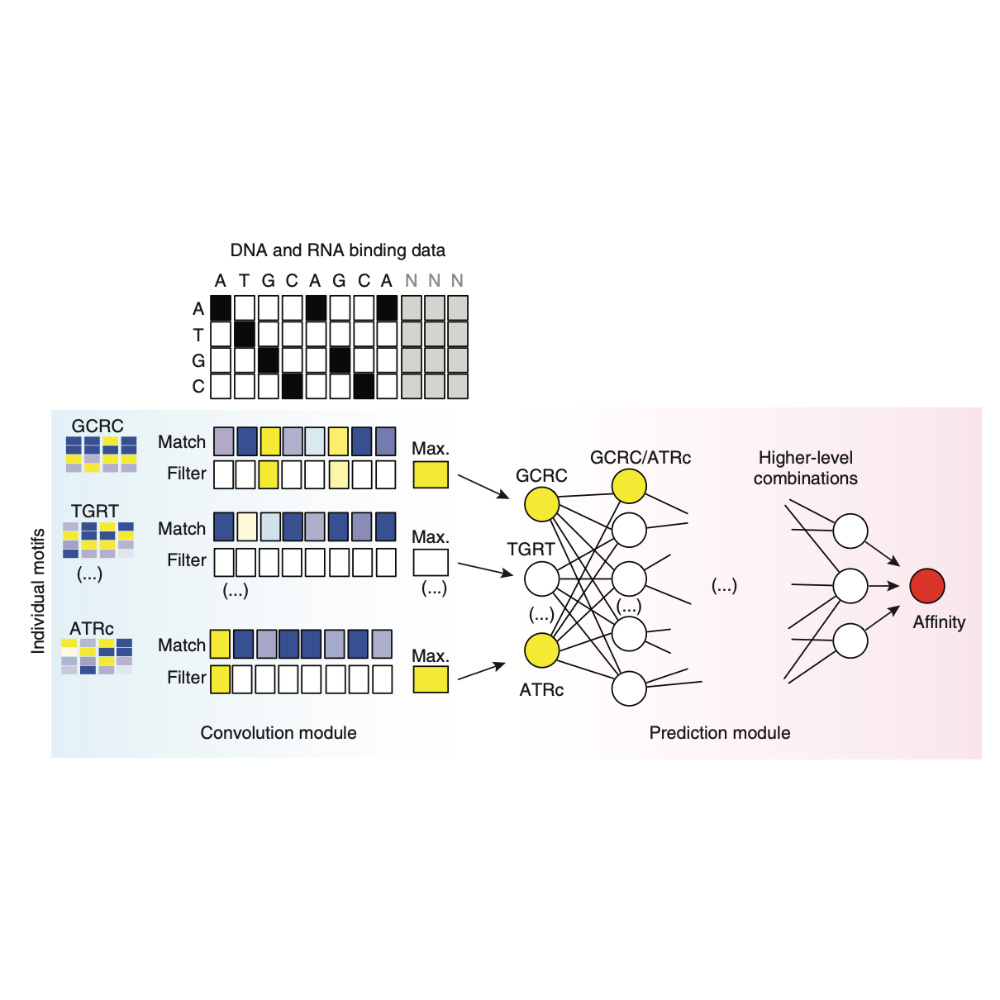 Park_NatureBiotechnology_15.png