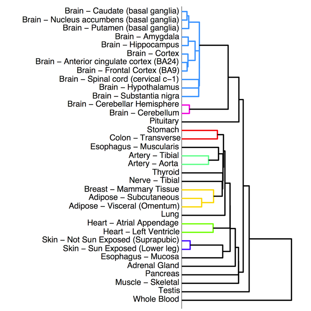 Pierson_PlosComputationalBiology_15.png