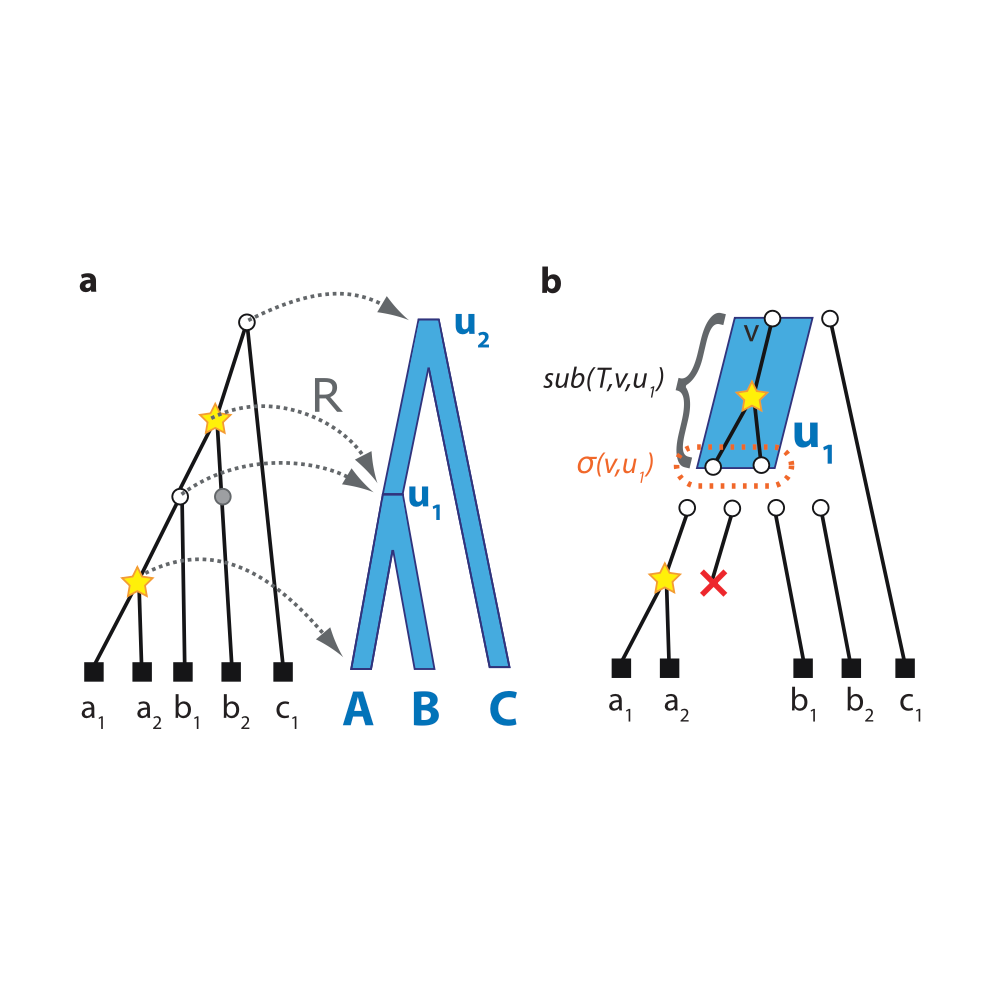 Rasmussen_MolecularBiologyAndEvolution_11.png