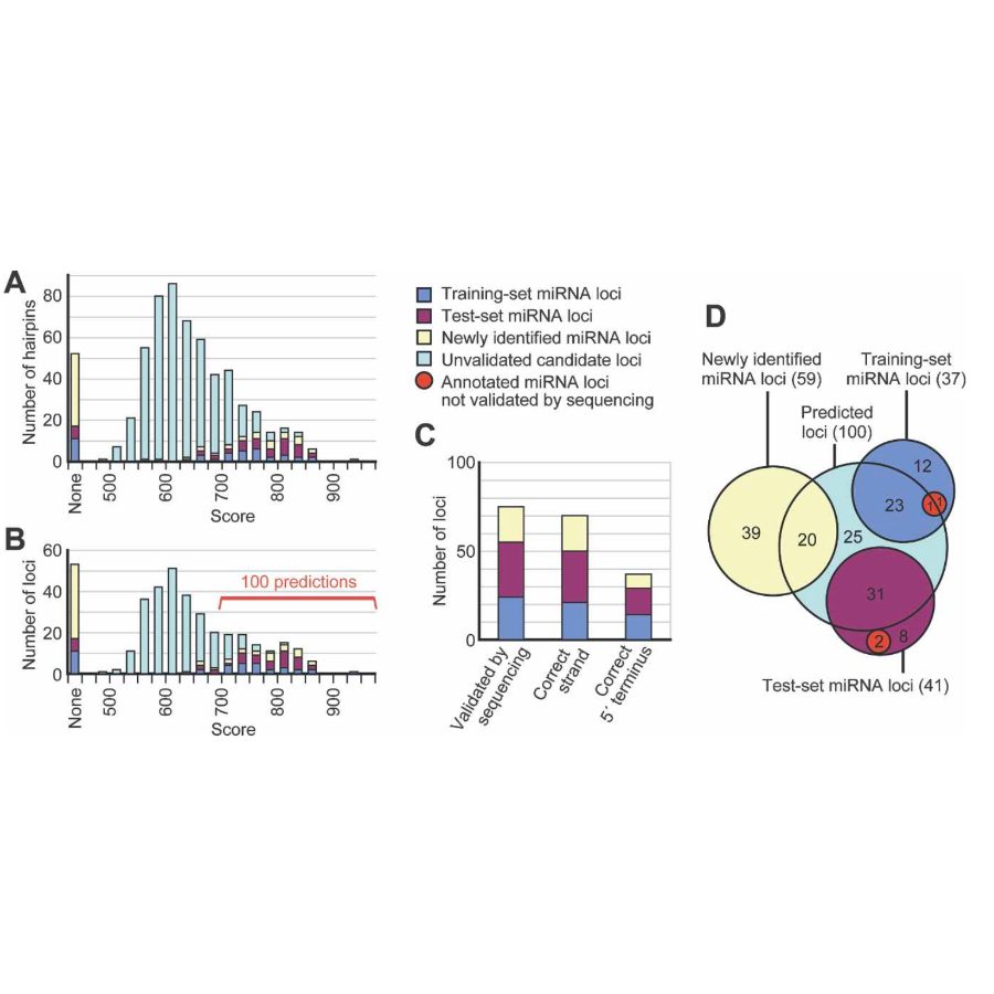 Ruby_GenomeResearch_07