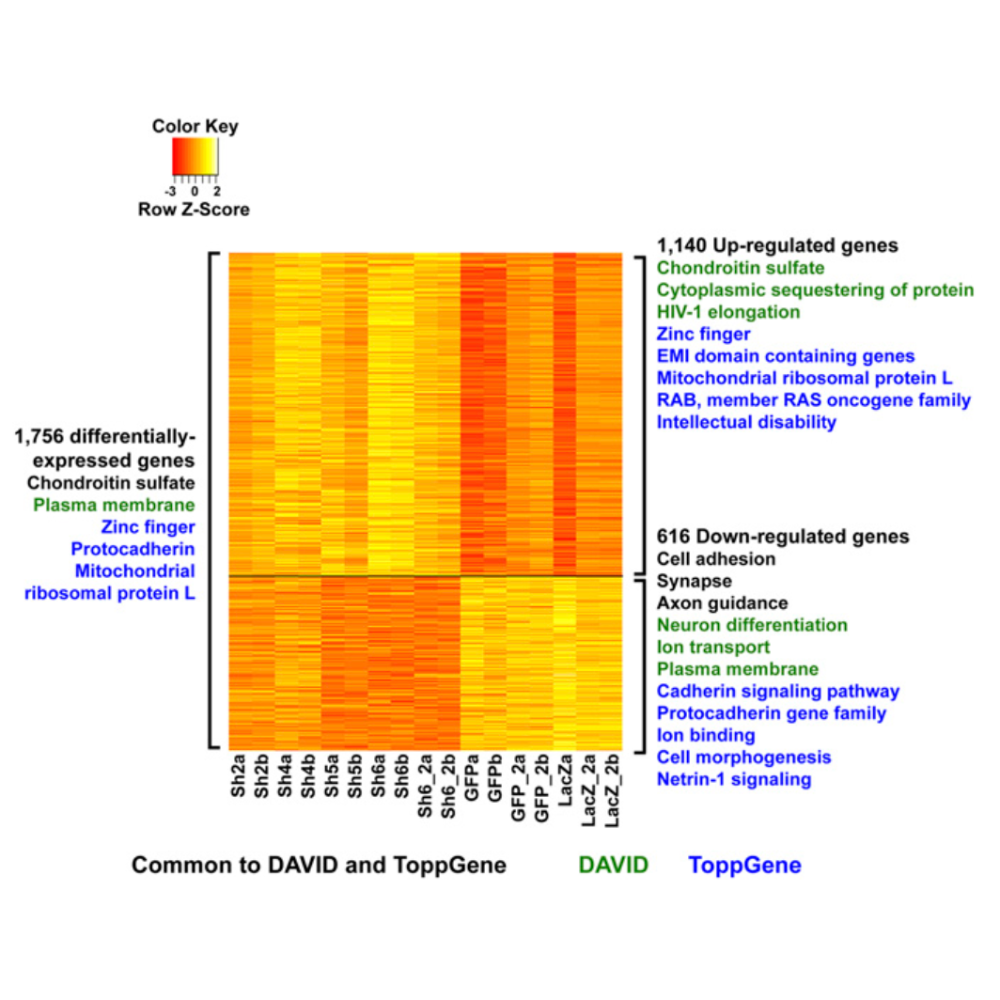 Sugathan_PNAS_14.png