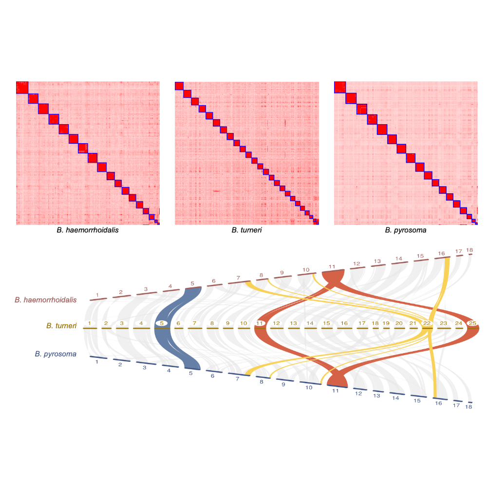 Sun_MolecularBiologyAndEvolution_21