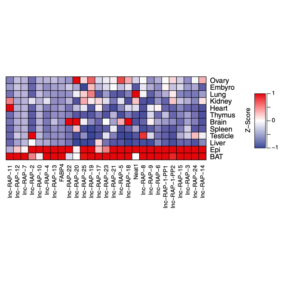 Sun_PNAS_13.png