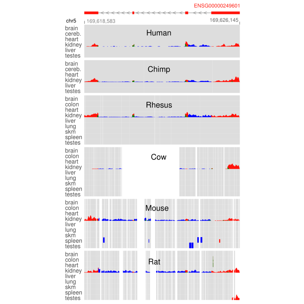 Washietl_GenomeResearch_14