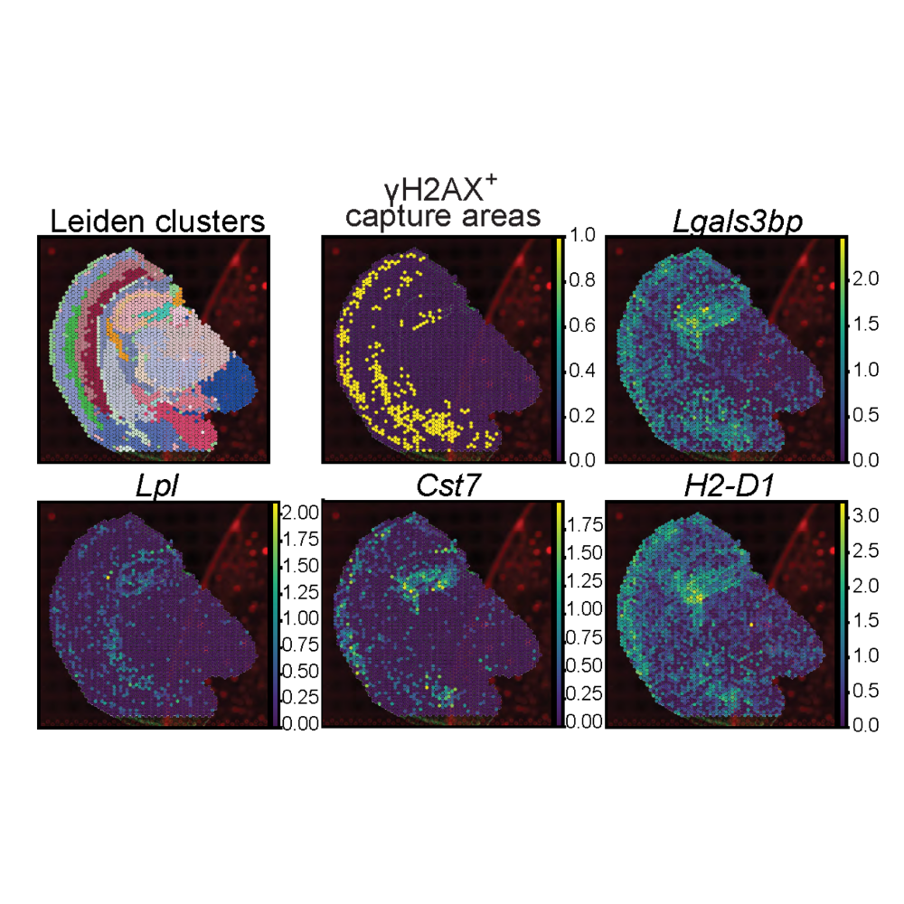 Welch_ScienceAdvances_22