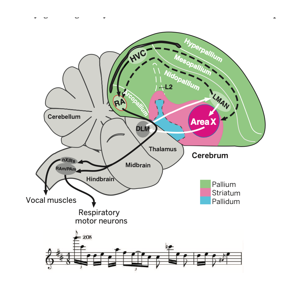 Whitney_Science_14