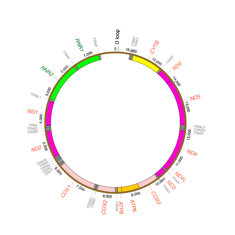 Yuan_NatureGenetics_20