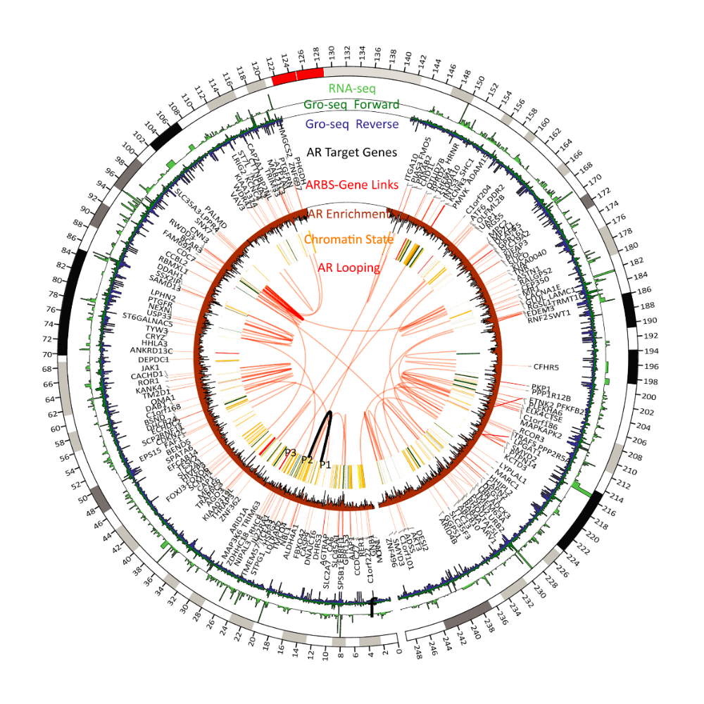 Zhang_GenomeResearch_19